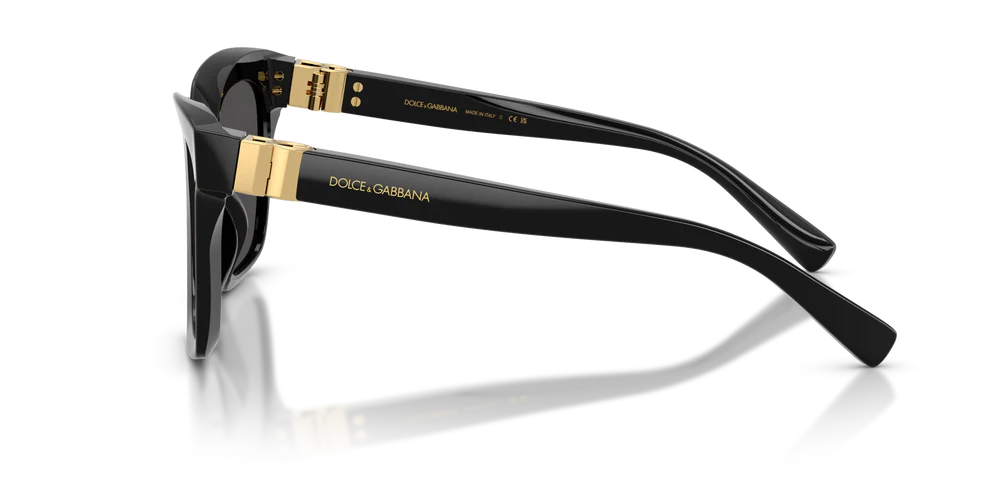 Dolce & Gabbana DG4498 501/87