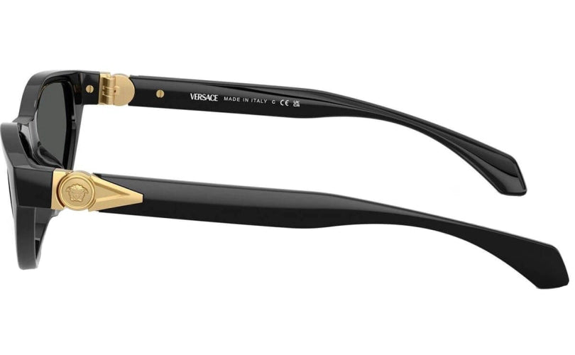 Versace VE4491U GB187