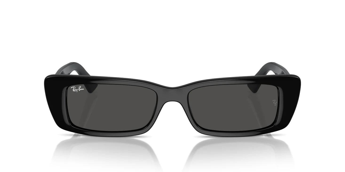 Ray-Ban RB4425 667787 54