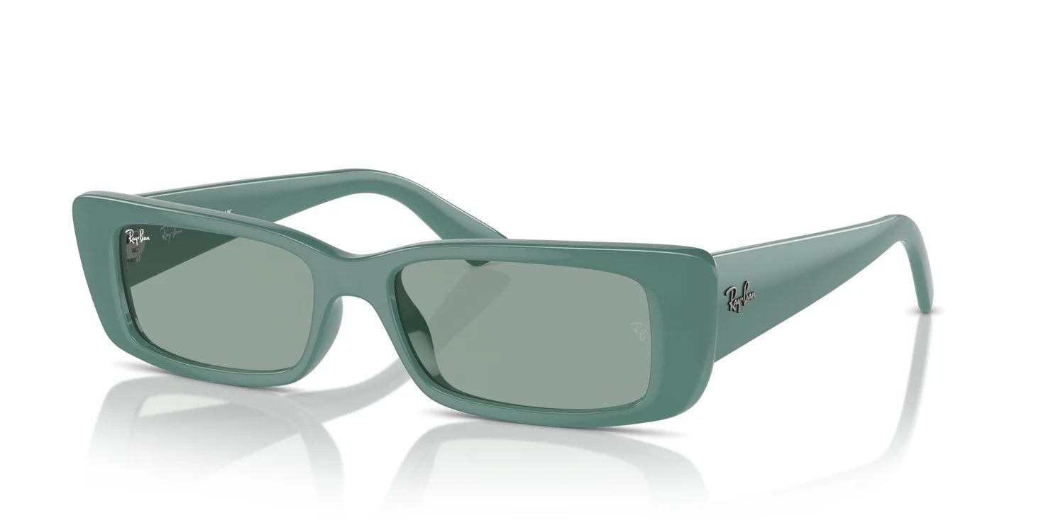 Ray-Ban RB4425 676282 54