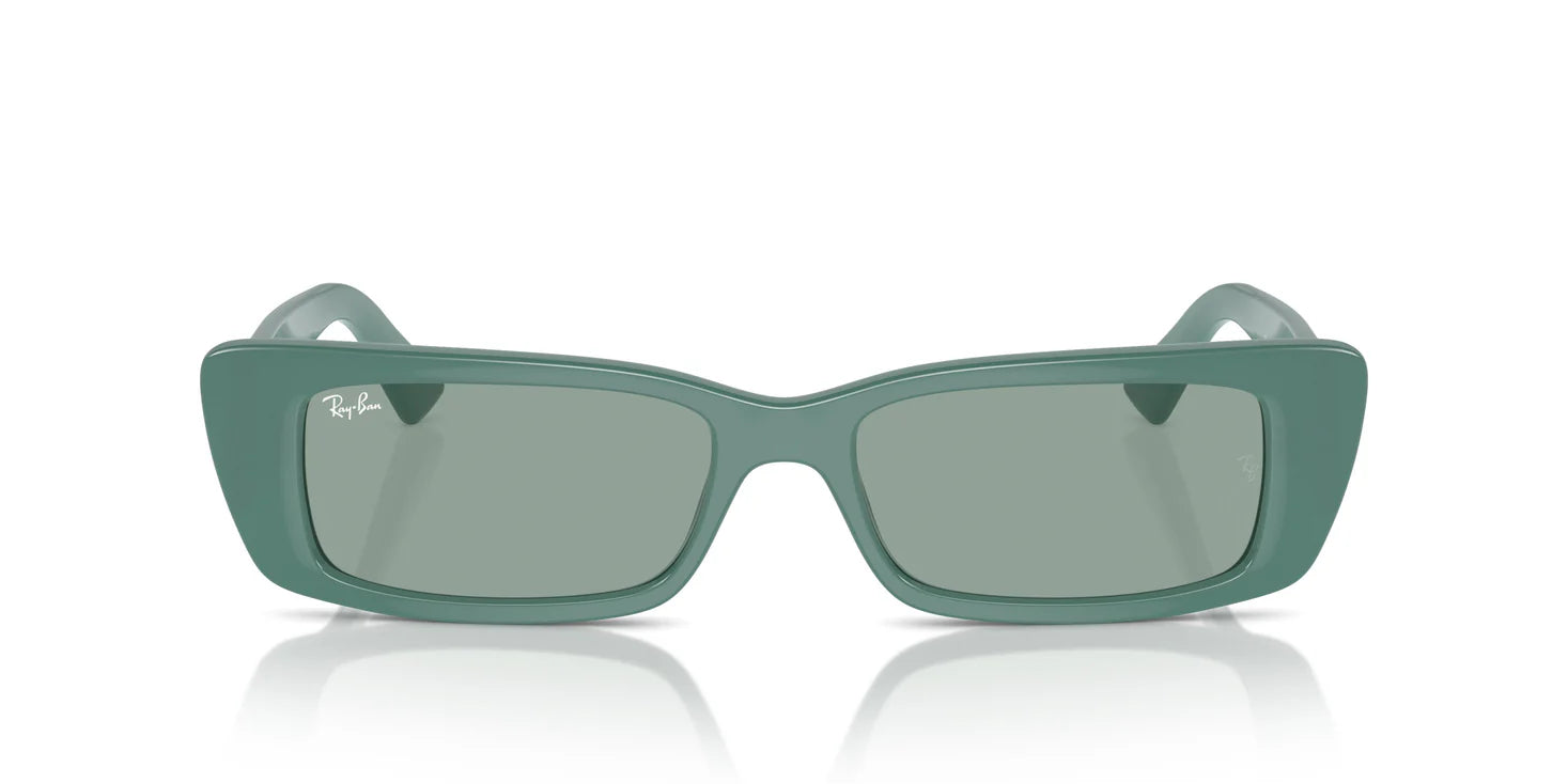 Ray-Ban RB4425 676282 54