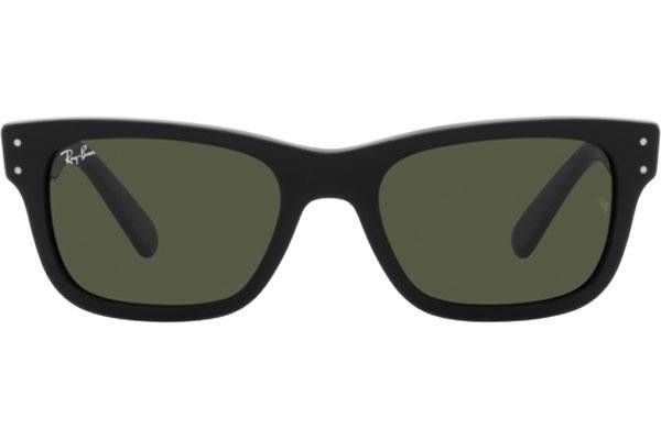 Ray-Ban RB2283 901/31