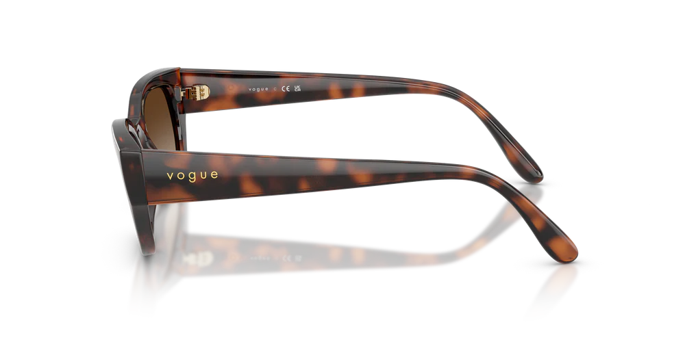 Vogue VO5669S 271813
