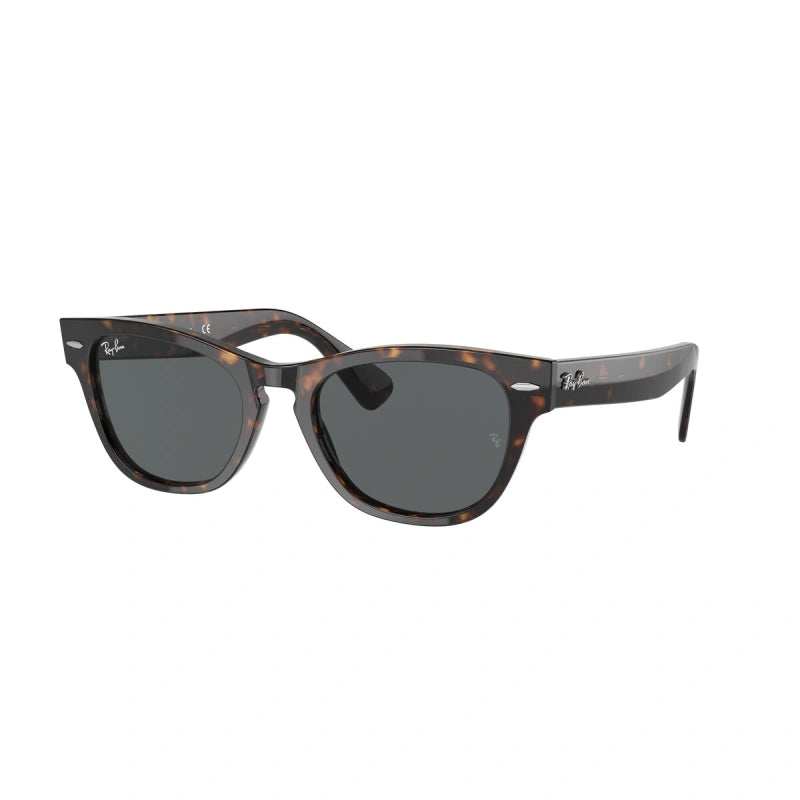 ray-ban-rb-2201-laramie-902b1-tortoise-8056597461566-800x800w