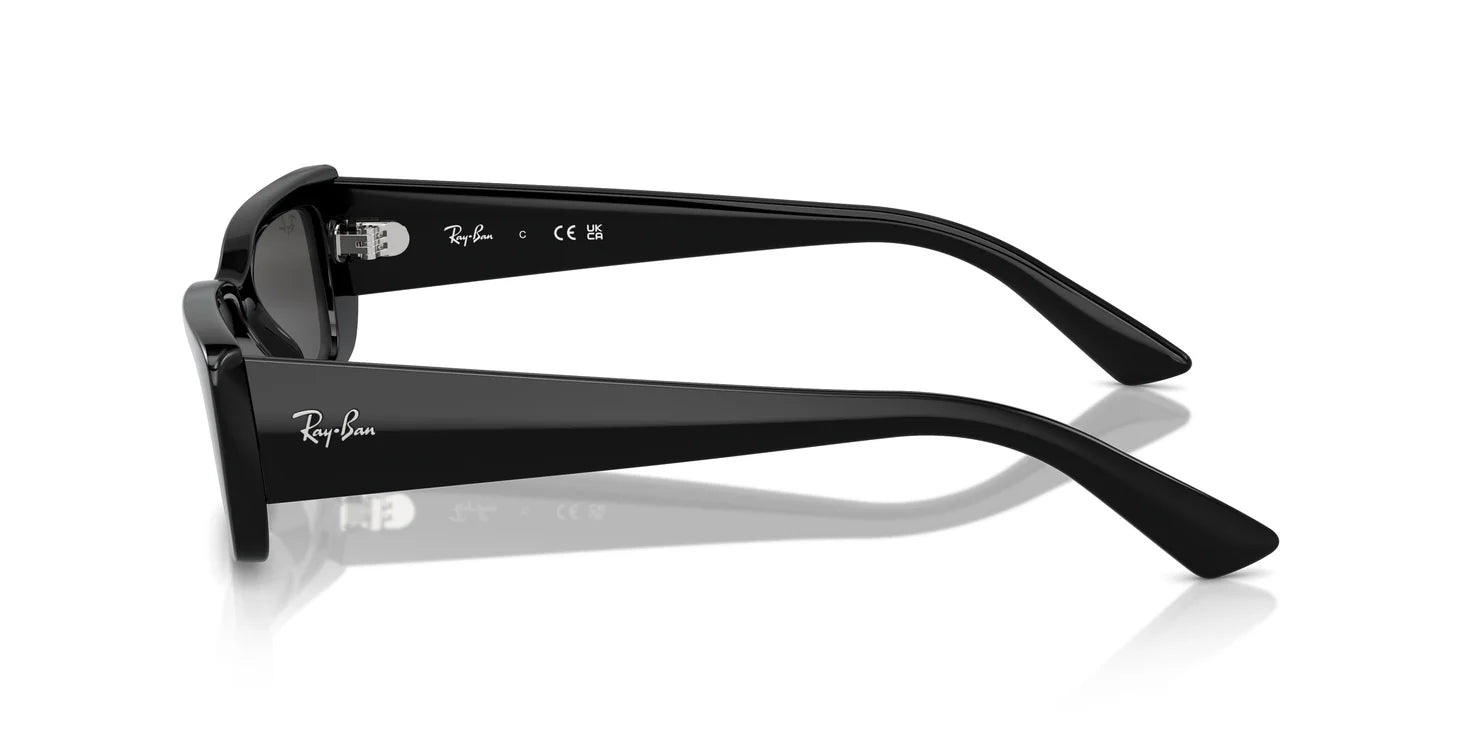Ray-Ban RB4425 667787 54