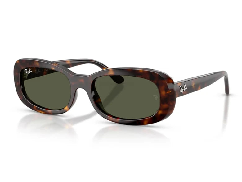 Ray-Ban Γυαλιά Ηλίου RB 2221 902/31 53