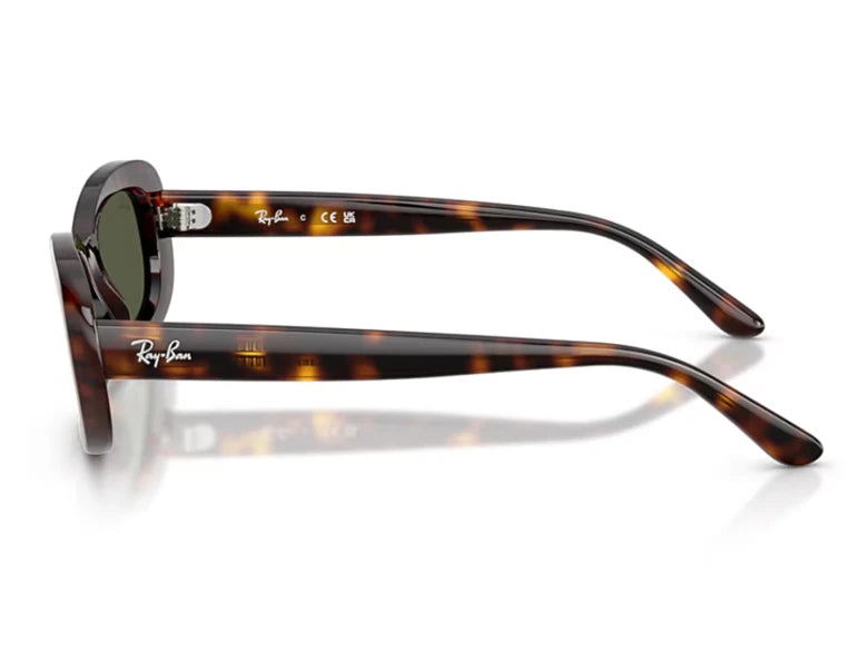 Ray-Ban Γυαλιά Ηλίου RB 2221 902/31 53